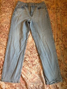 American Eagle Outfitters Straight Leg Light Blue Jeans
